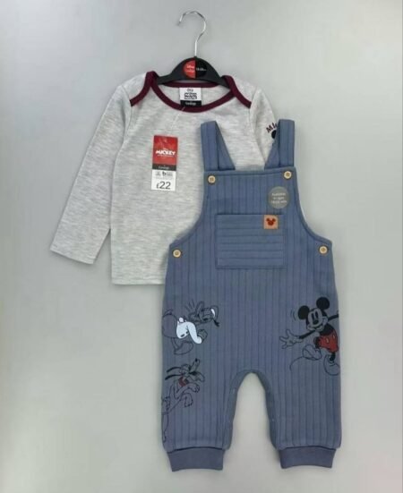 افرهول ديزني ولادي سكني وبترولي